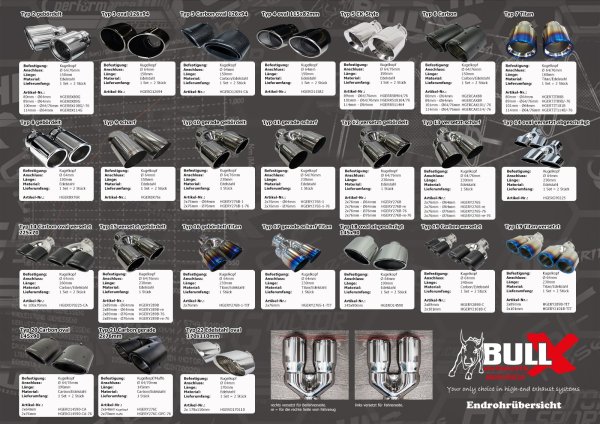 Preview: EGO-X Abgasanlage 3,5" für Audi RS3 8P